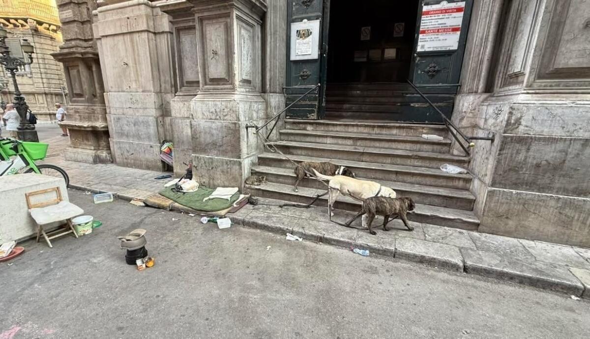 Palermo, Randazzo “Ripristinare il decoro della chiesa di San Giuseppe dei Teatini” - 
