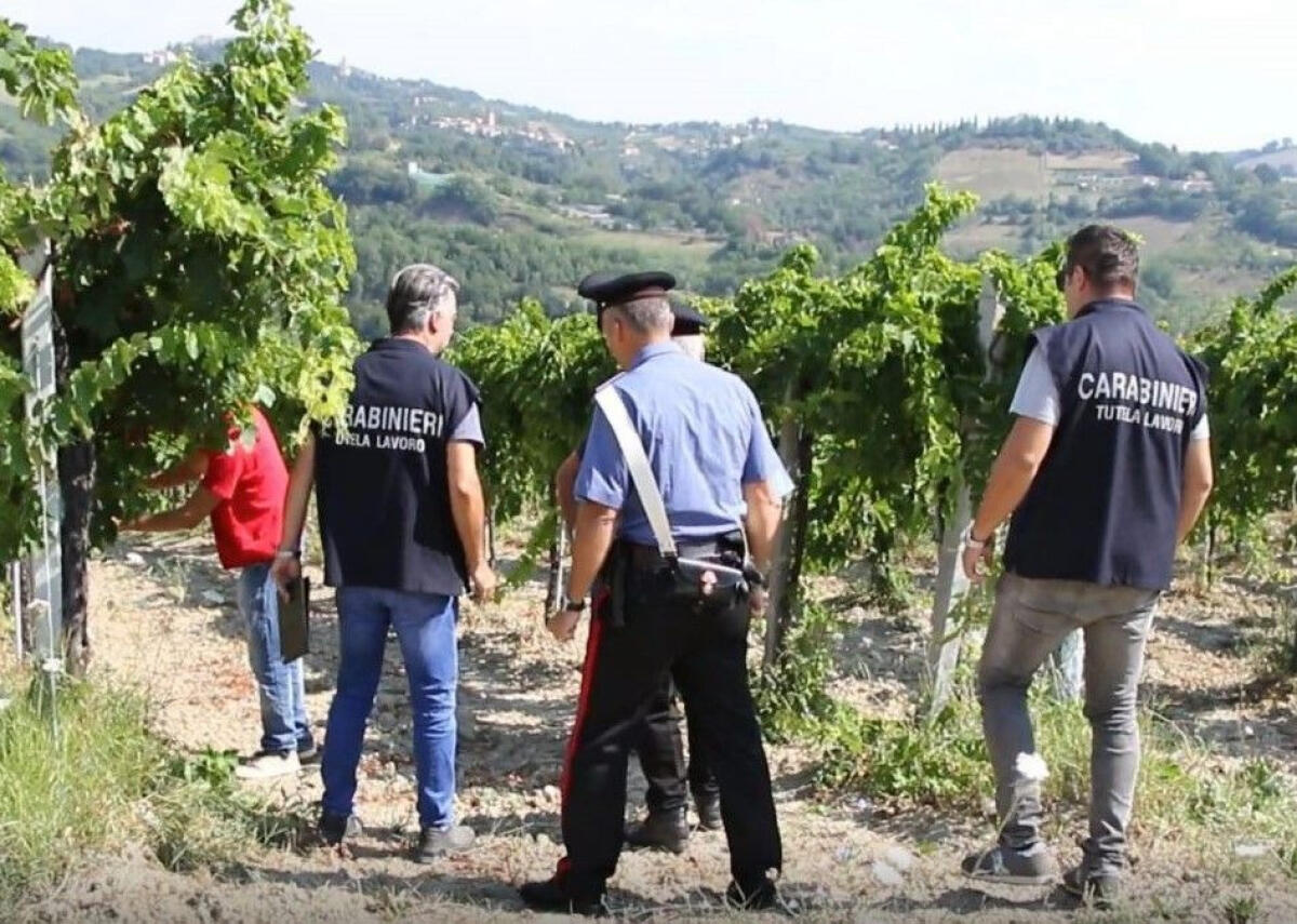 Controlli contro il caporalato in aziende agricole nel nisseno, multe e una denuncia - 