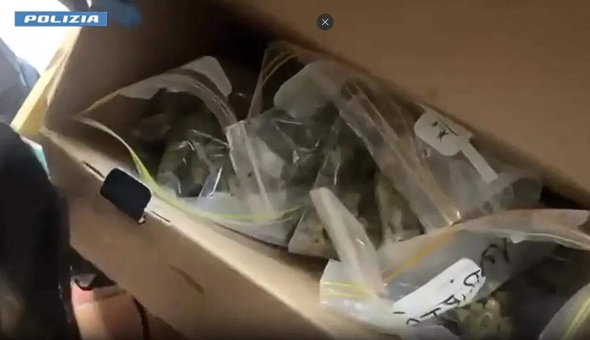 Spaccia in casa alla presenza del figlio di un anno, 21enne arrestata a Catania - 