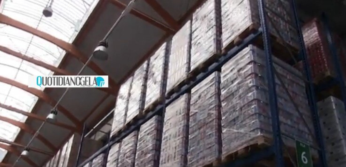 Hub alimentare, non c'è ancora sito da utilizzare: un mese per valutare - 