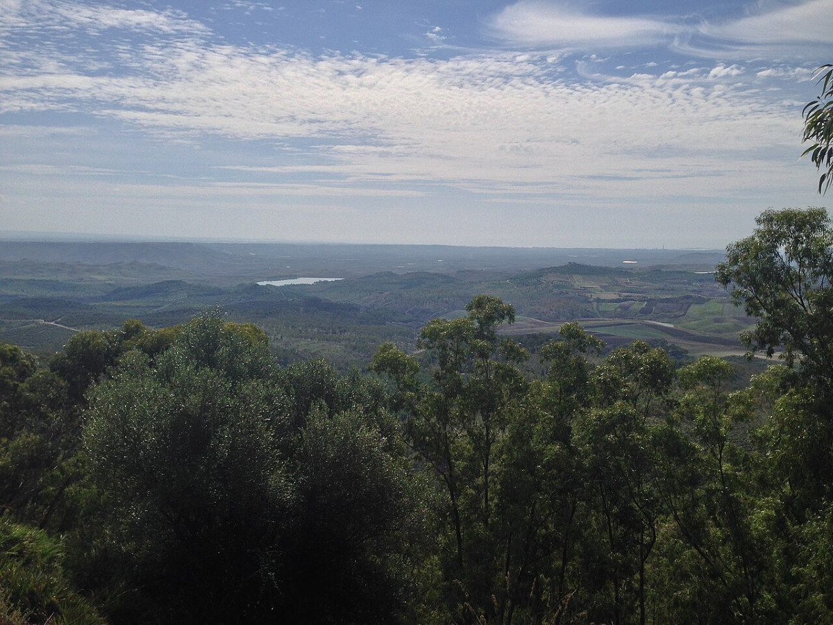 A Caltanissetta c'è una montagna che nasconde un’antica città greca: un tesoro archeologico immerso nella natura - Foto: Davide Mauro/Wikipedia