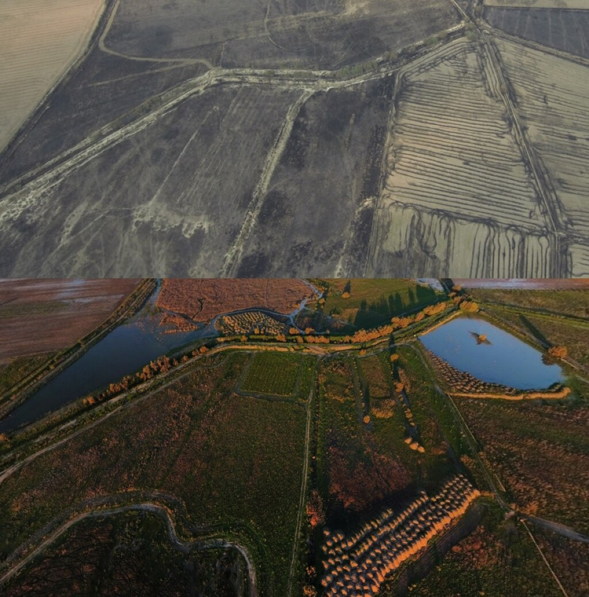 L'oasi gelese nascosta che ha cambiato il destino di una pianura - Foto: Manuel Zafarana/Wikipedia