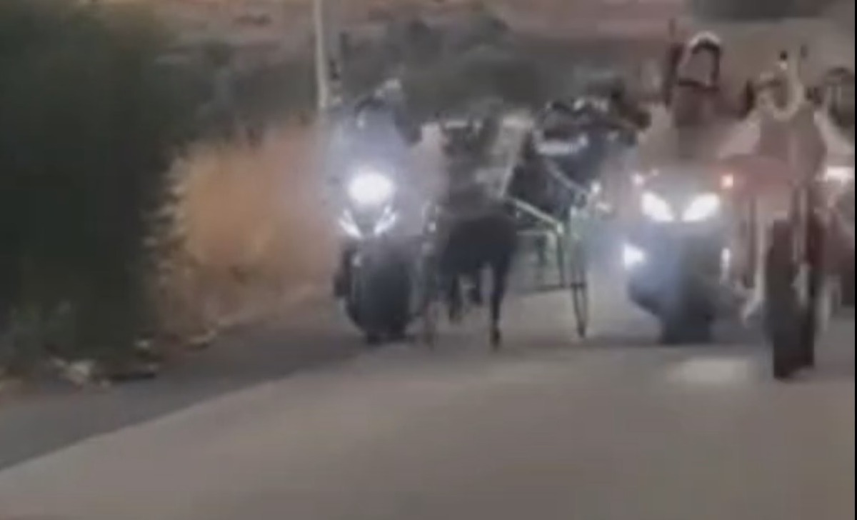 Corse clandestine ad Acate, cavalli al galoppo all’alba - 