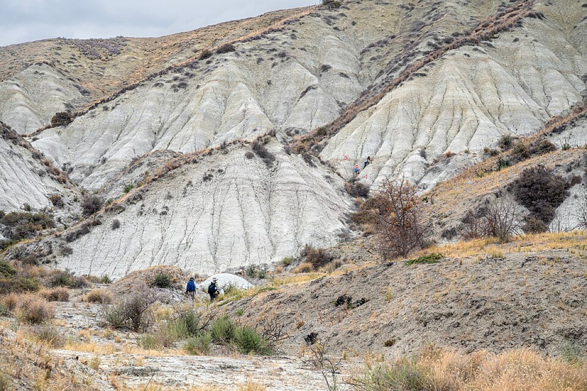 Quando la geologia incontra la Sicilia: il periodo della Terra che porta il nome di Gela e pochi conoscono - Foto: Cayambe/Wikipedia