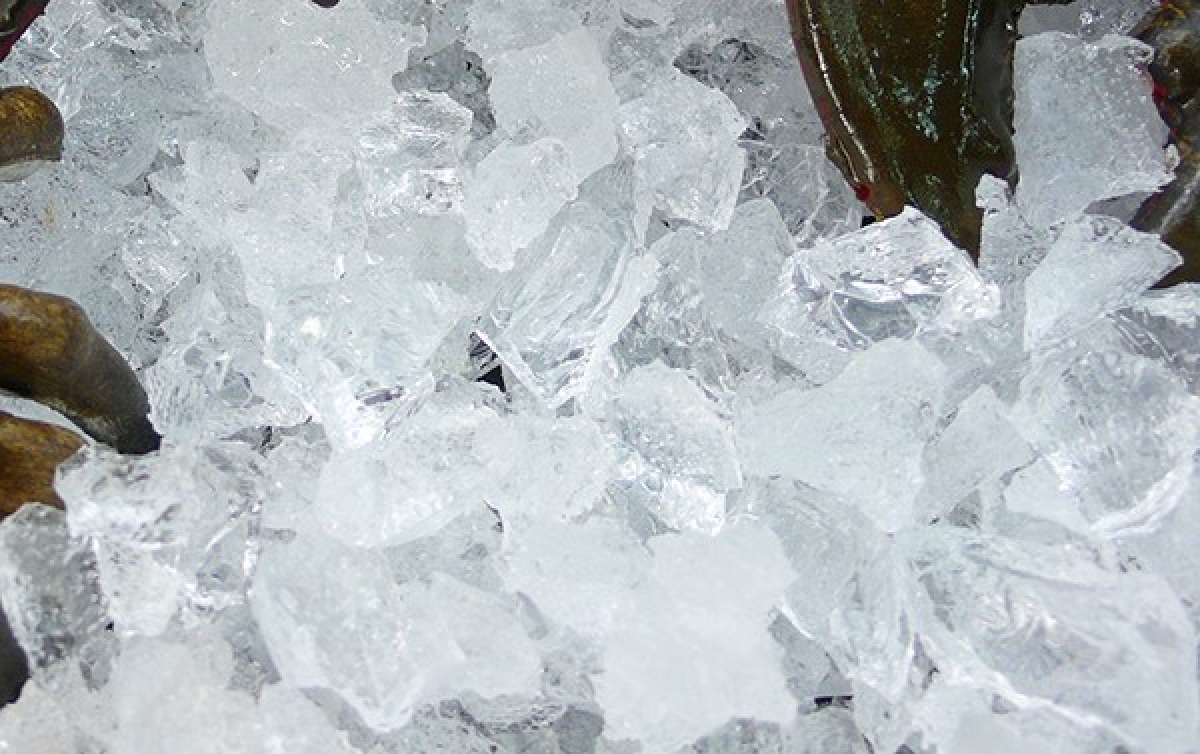 Acqua e ghiaccio non conformi in una pescheria, scatta ordinanza del sindaco: "Ripristinare condizioni idonee" - 