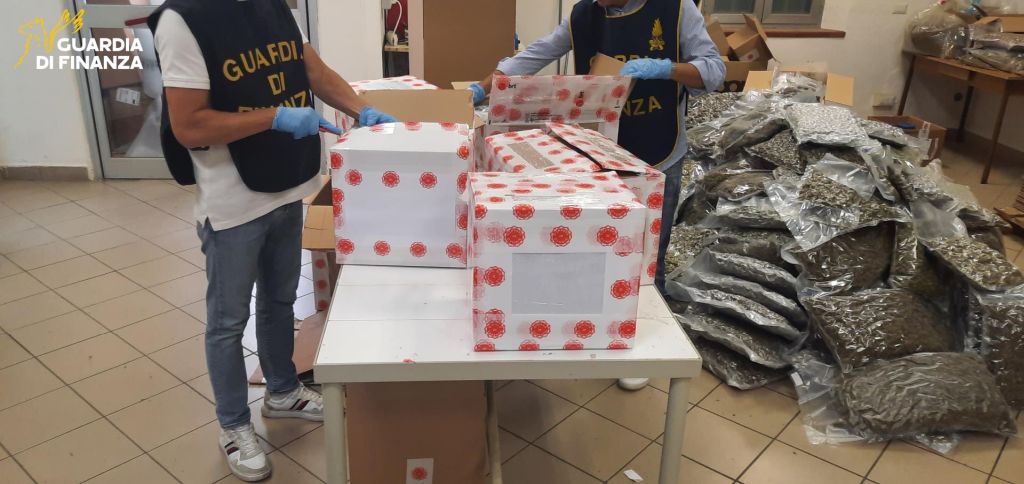 Bologna, sequestrate 500 kg di infiorescenze di canapa. Una denuncia - 