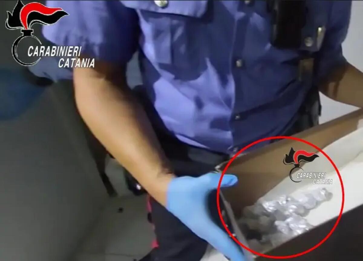 Una casa trasformata in una piazza di spaccio, a Catania sequestrati 12kg di droga - 