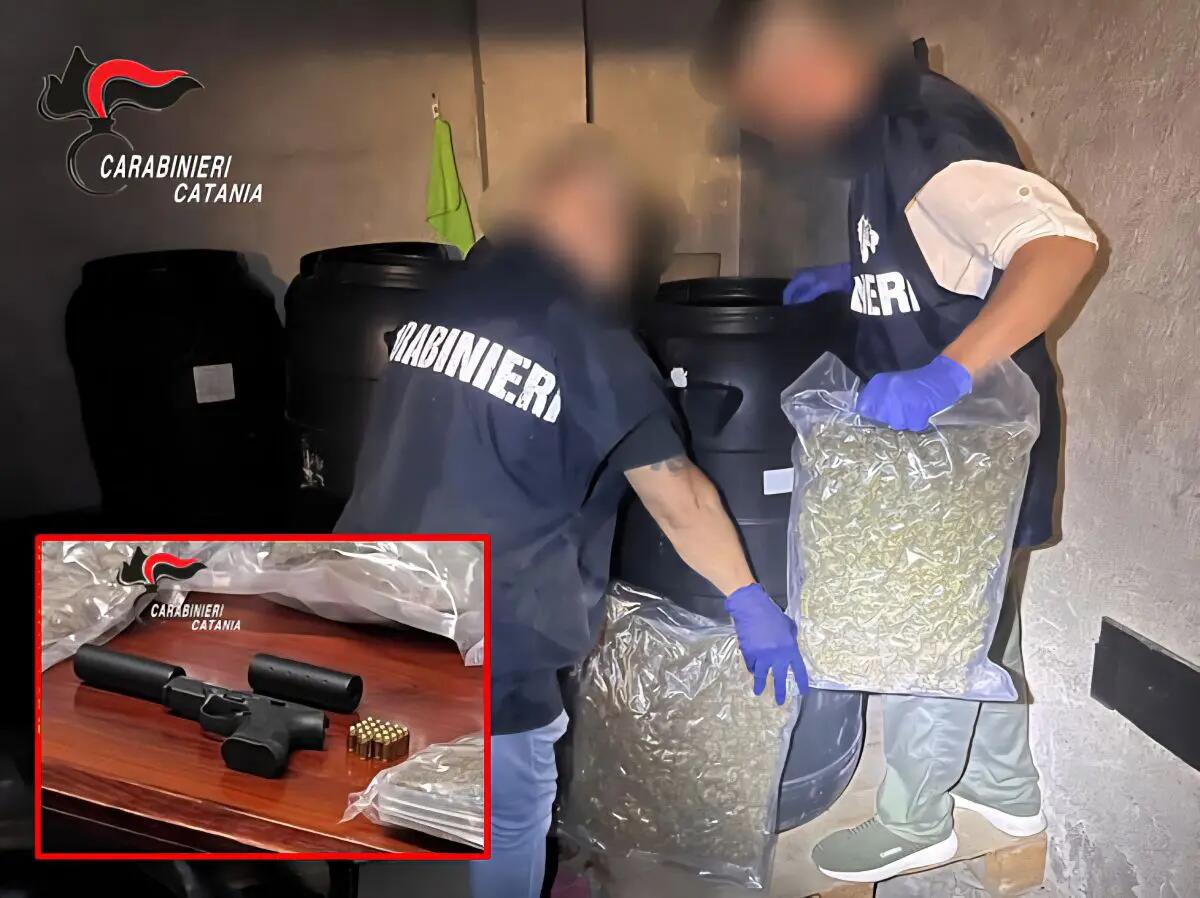Nascondeva una pistola con silenziatori e 30 kg di marijuana, 62enne arrestato a Catania - 