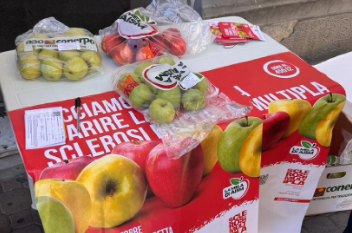 Gela protagonista del “Weekend delle mele Aism” - 