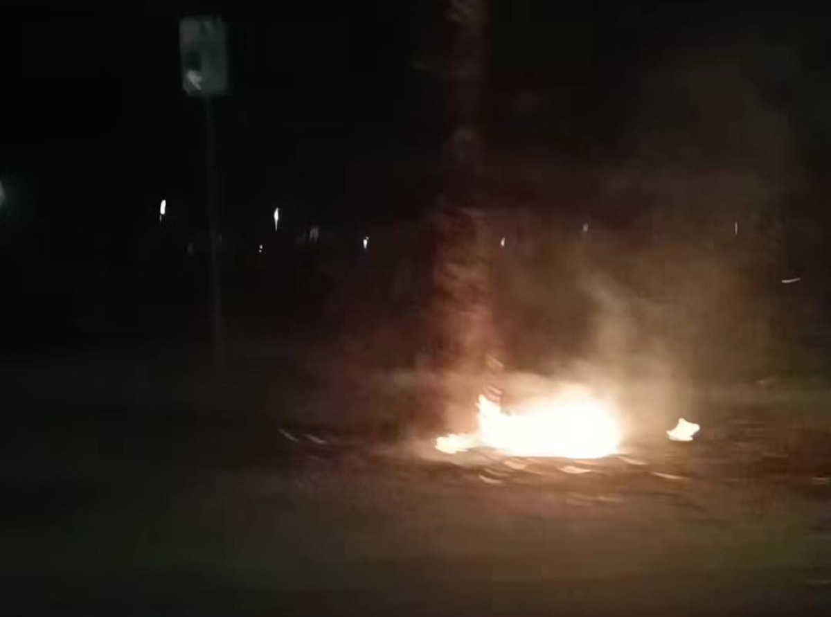 Piazza Russello ancora presa di mira dai vandali, fuoco a una delle palme - 