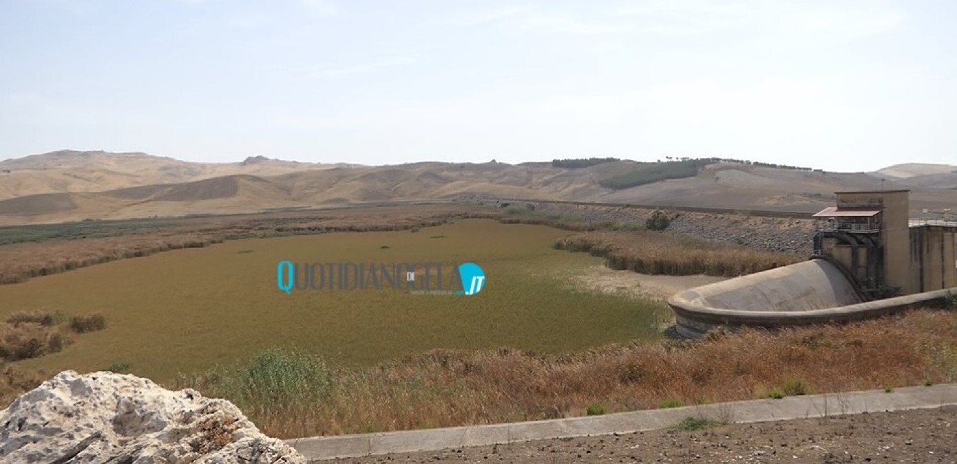 Dighe, poche speranze per il comparto locale: "Da Cimia solo un terzo dell'acqua che doveva arrivare" - 