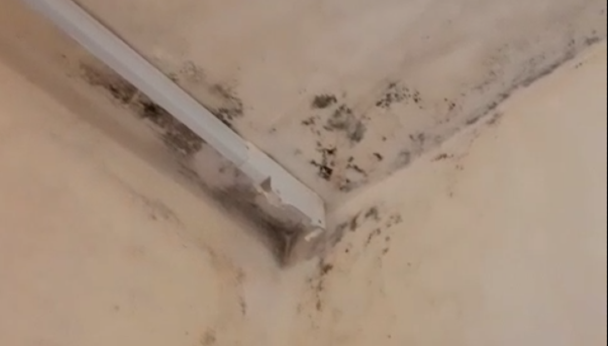 Case popolari: infiltrazioni d’acqua e famiglie esasperate  - 