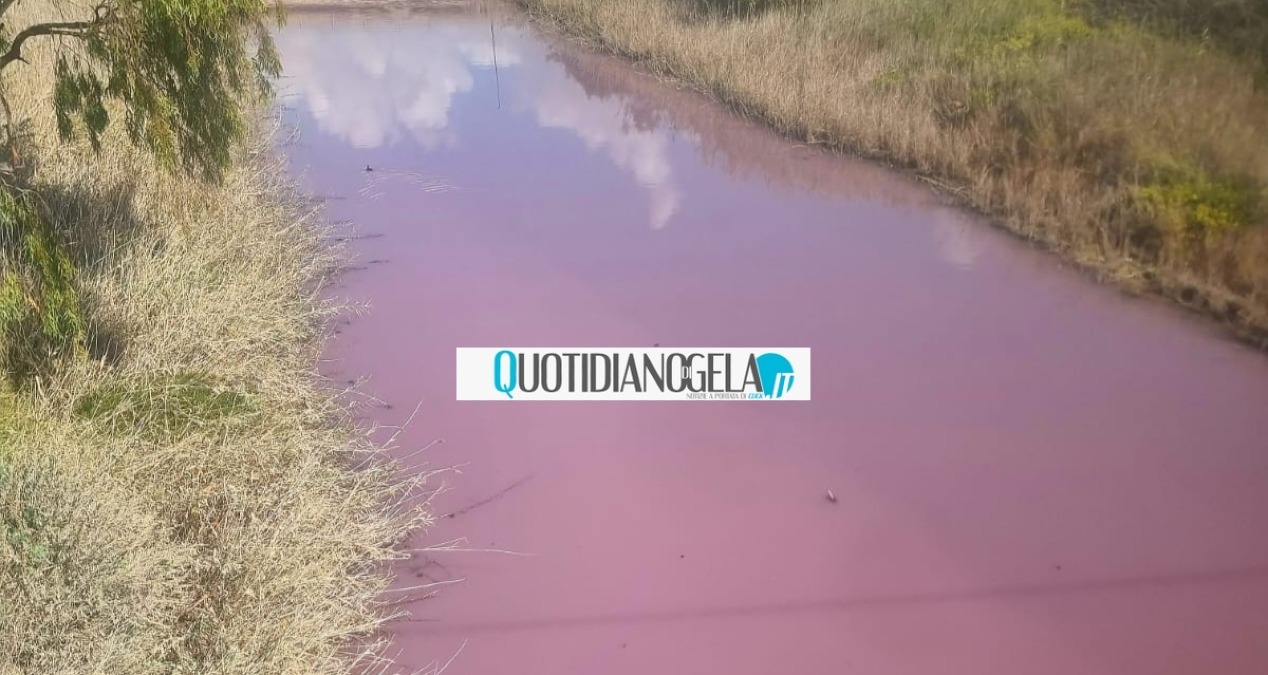 Fiume Gela, condizioni anomale: patina rosa e tanfo, "presenteremo denuncia" - 