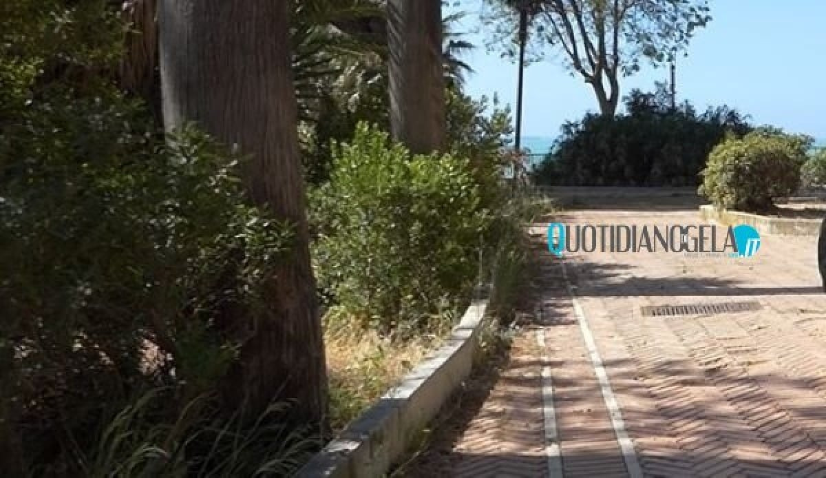 Minori nella notte sono entrati nella villa, erano sotto effetto di alcol: residenti hanno segnalato - 