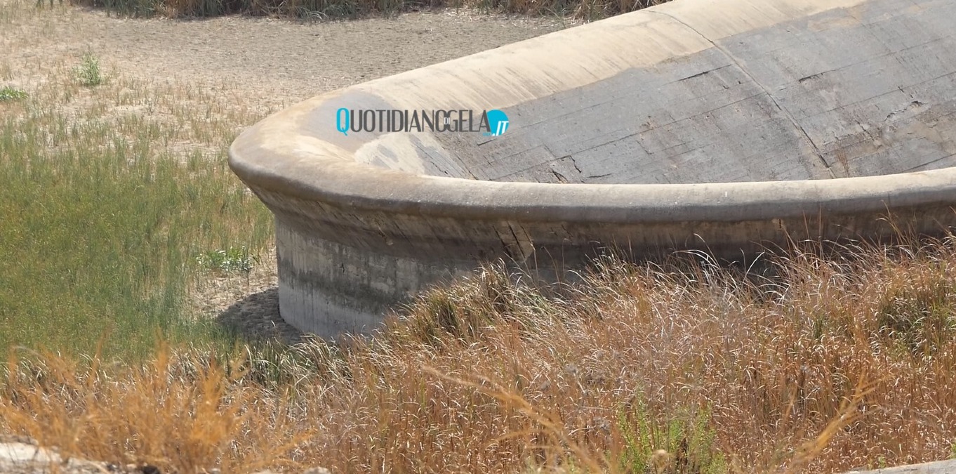 Dighe senza acqua, agricoltori in ginocchio e non bastano le piogge: c'è chi non riesce più a produrre - 