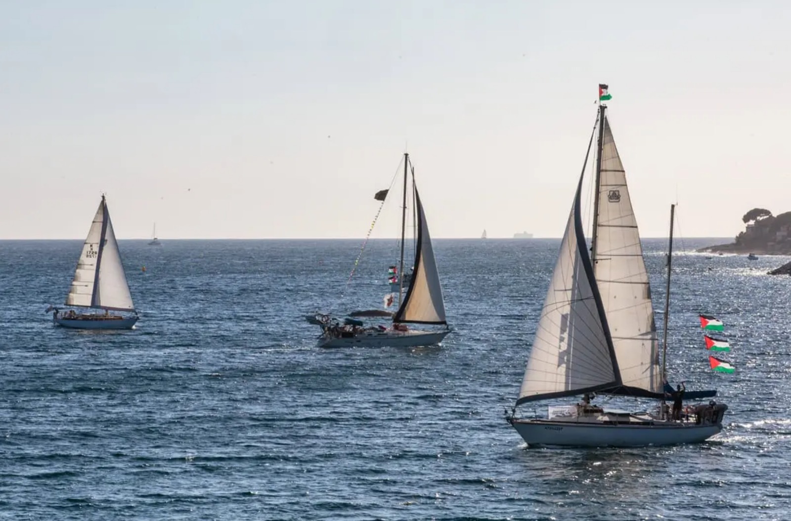 Flotilla, liberati i quattro parlamentari italiani - 