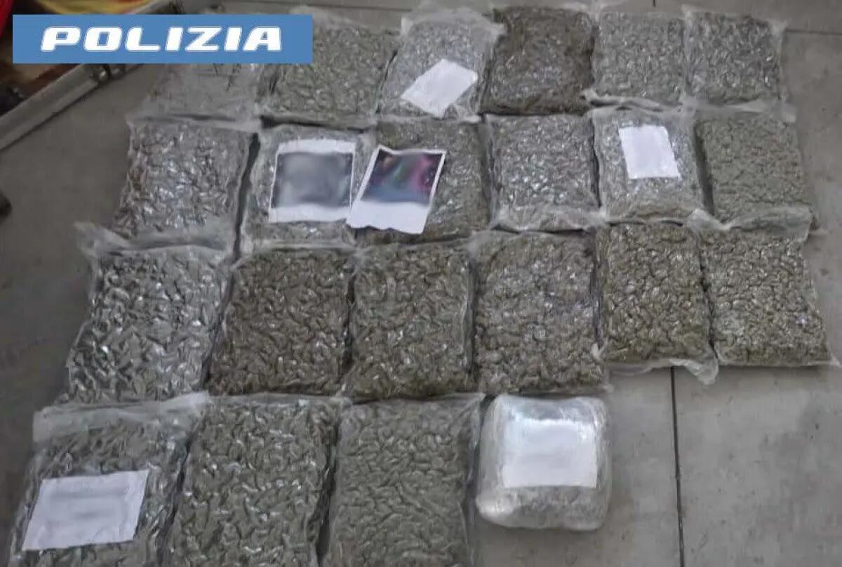 Scoperto a Catania un deposito di droga con 30kg di marijuana, un arresto - 