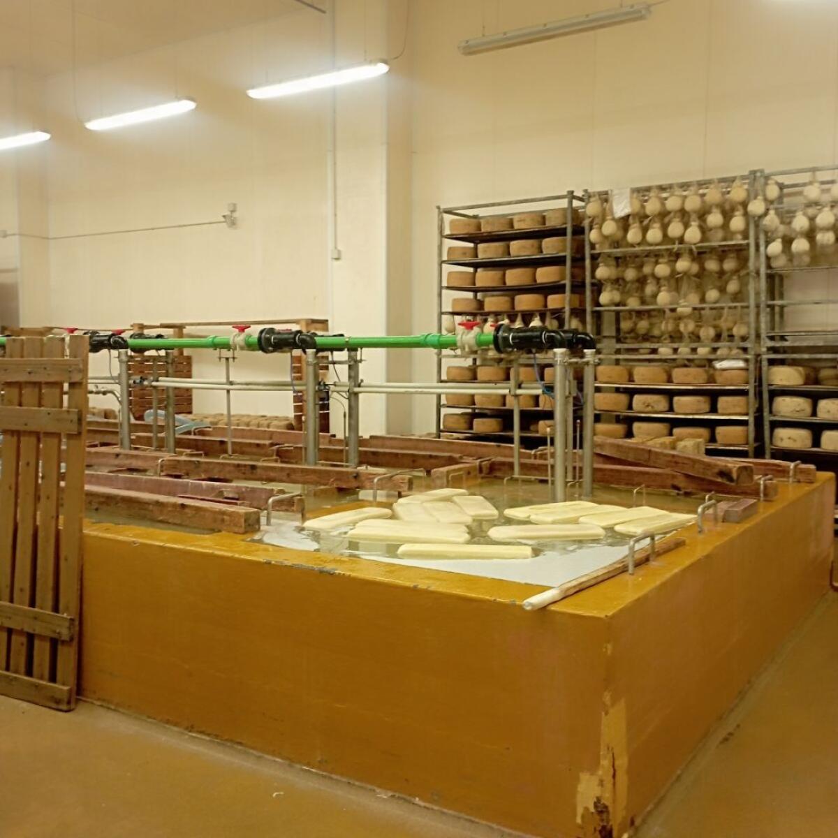 UniCredit e la Cooperativa Progetto Natura hanno sottoscritto un accordo di filiera per facilitare l’accesso al credito - 