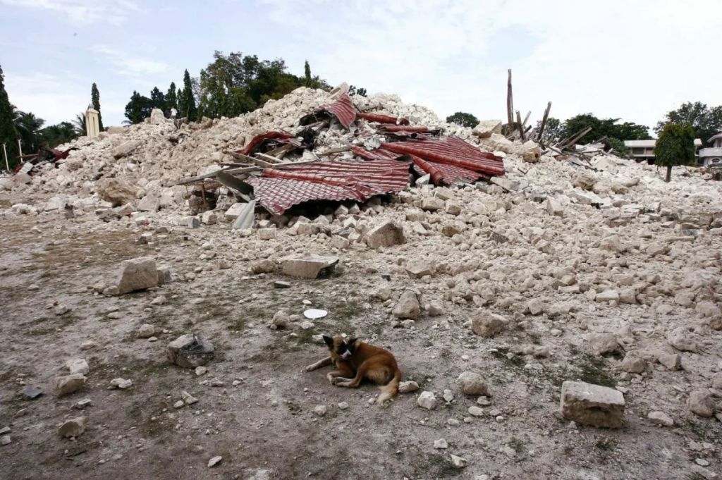 Violento terremoto nelle Filippine, almeno 69 morti. Decine i feriti - 