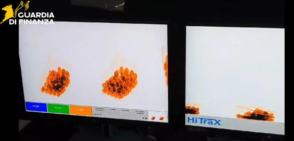 Traffico di eroina a Malpensa, sequestro per 1 milione e 7 arresti - 