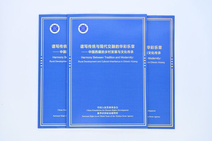 Cina: uno studio, eredità culturale e innovazione fanno crescere Xizang - 