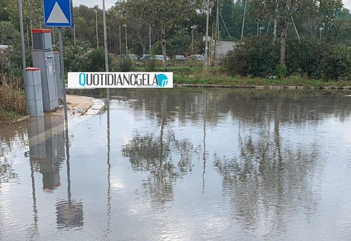 "Cittadella", strade e cantine allagate: liquami sversati a causa della pioggia  - 