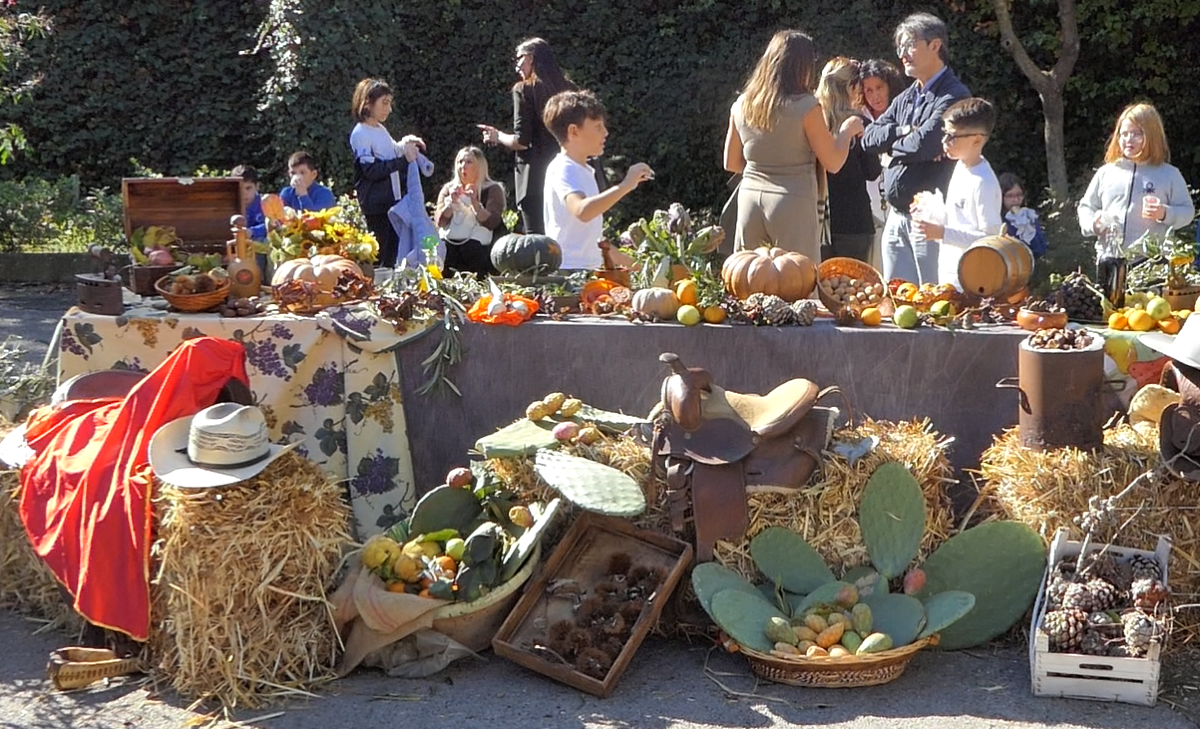 Le scuole di Gela celebrano San Martino tra solidarietà e gratitudine per la terra - 