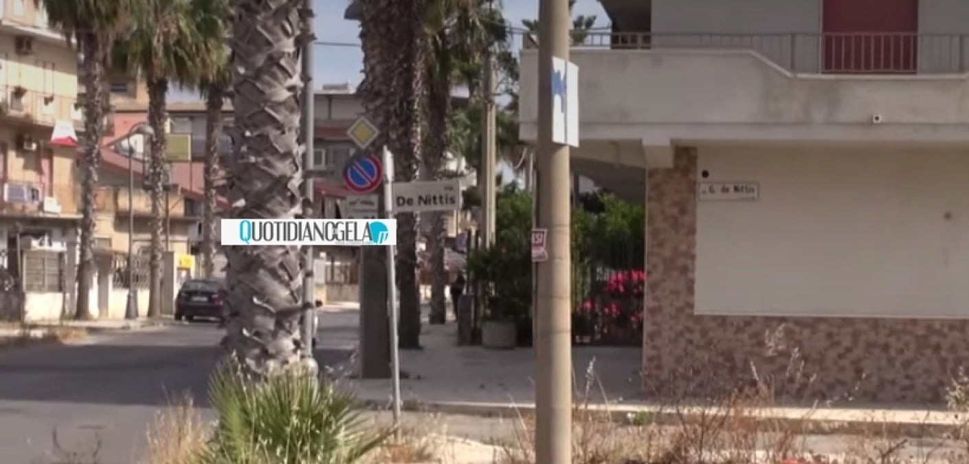 Settefarine, completati i lavori di pulizia delle palme: "Dimostrata efficienza" - 