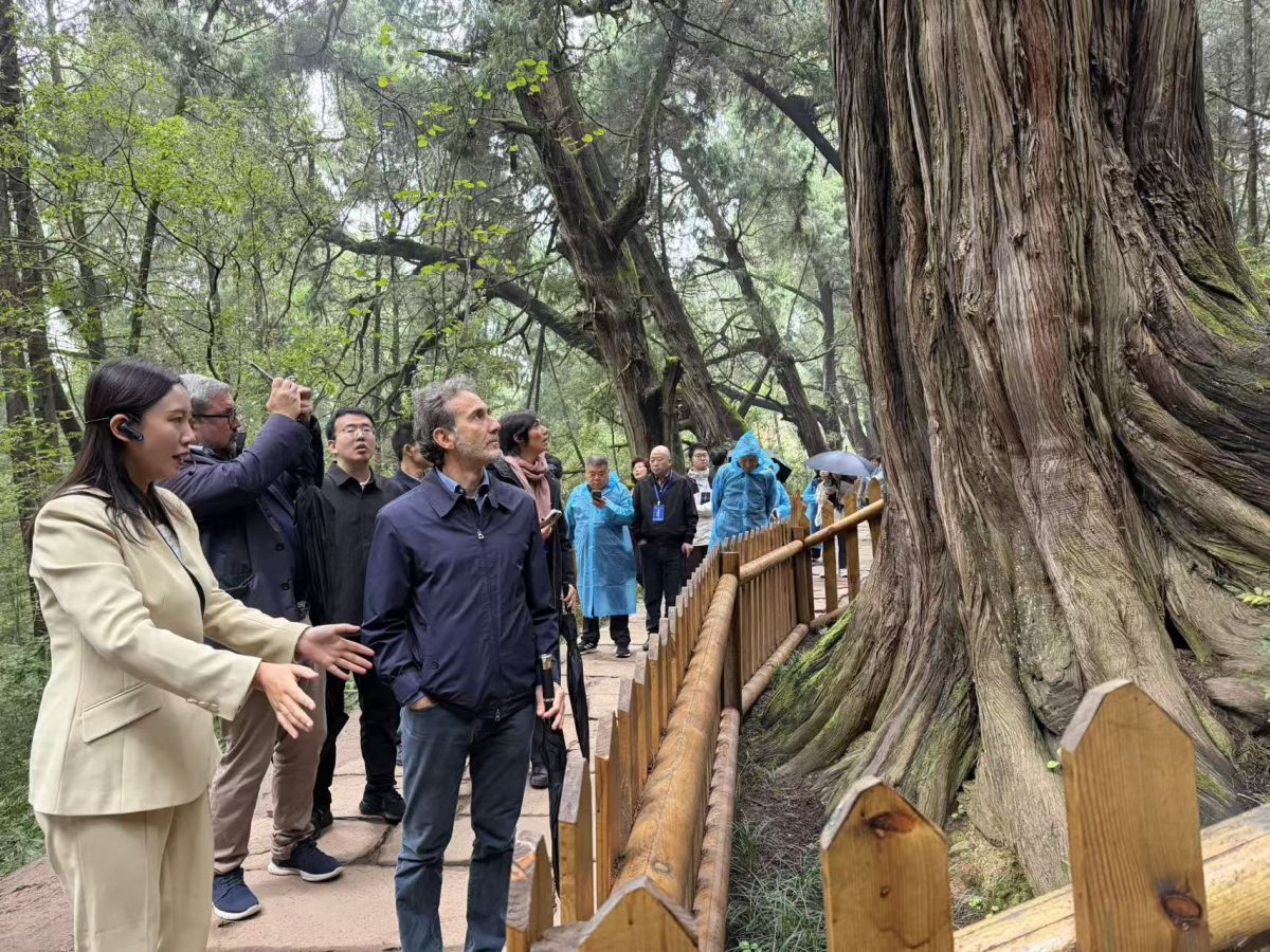 Cina-Italia: Strada per Shu e Via Appia, dialogo tra civiltà attraverso montagne e mari - 