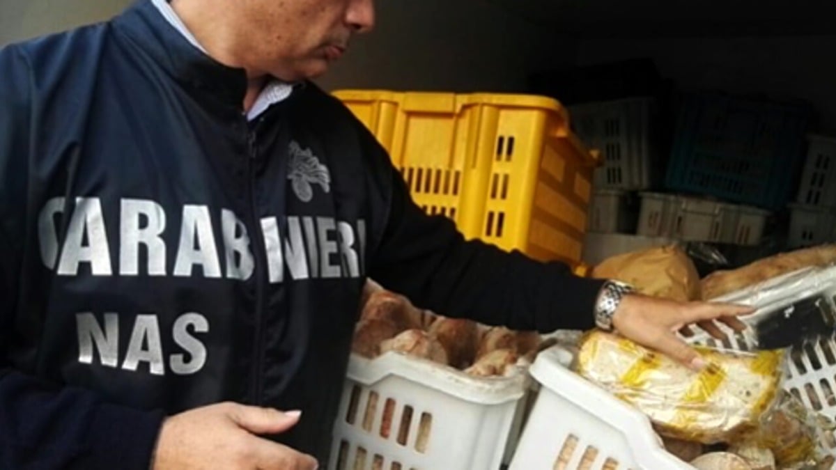 "Gravi condizioni igienico-sanitarie", Nas dispongono chiusura panificio  - 