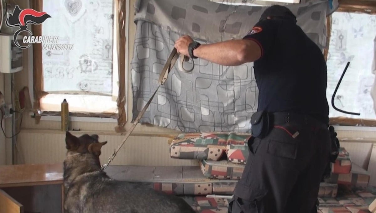 Inchiesta antidroga "White sheep", Cavallo lascia il carcere: torna in libertà - 