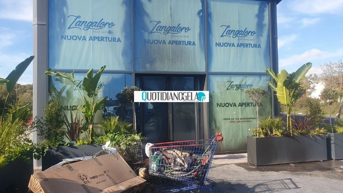 Rando (Pd): "Incendiare l'attività commerciale è un attacco al lavoro" - 