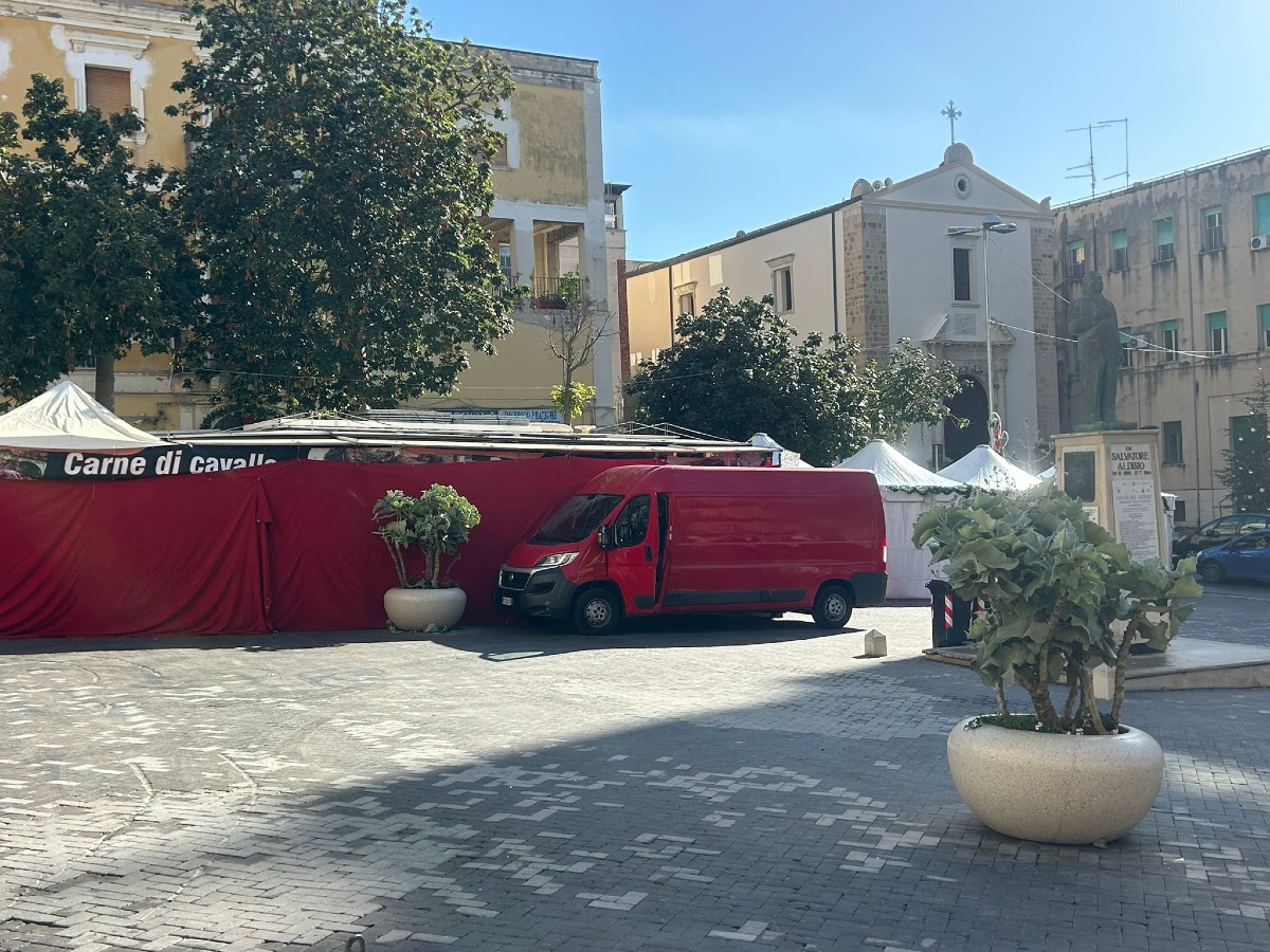 Incardona: "Carne di cavallo davanti al municipio e ad Aldisio, scelta inappropriata" - 