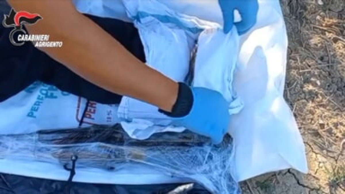 Il traffico di droga controllato dai clan agrigentini: chieste condanne per sei gelesi - 