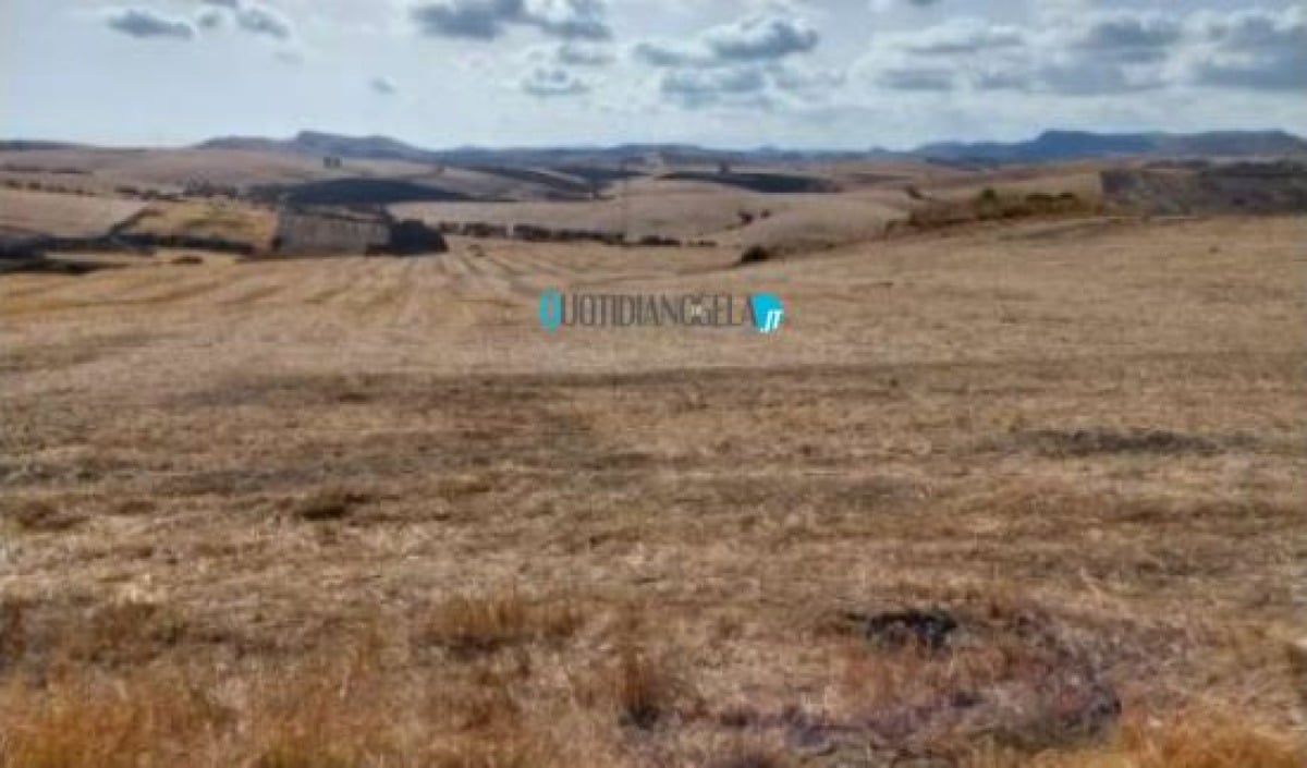 Fotovoltaico, altro vasto progetto in aree rurali: bocciato da ministero e Regione, "effetti ambientali negativi" - Una delle aree dove sarebbe dovuto sorgere il polo fotovoltaico