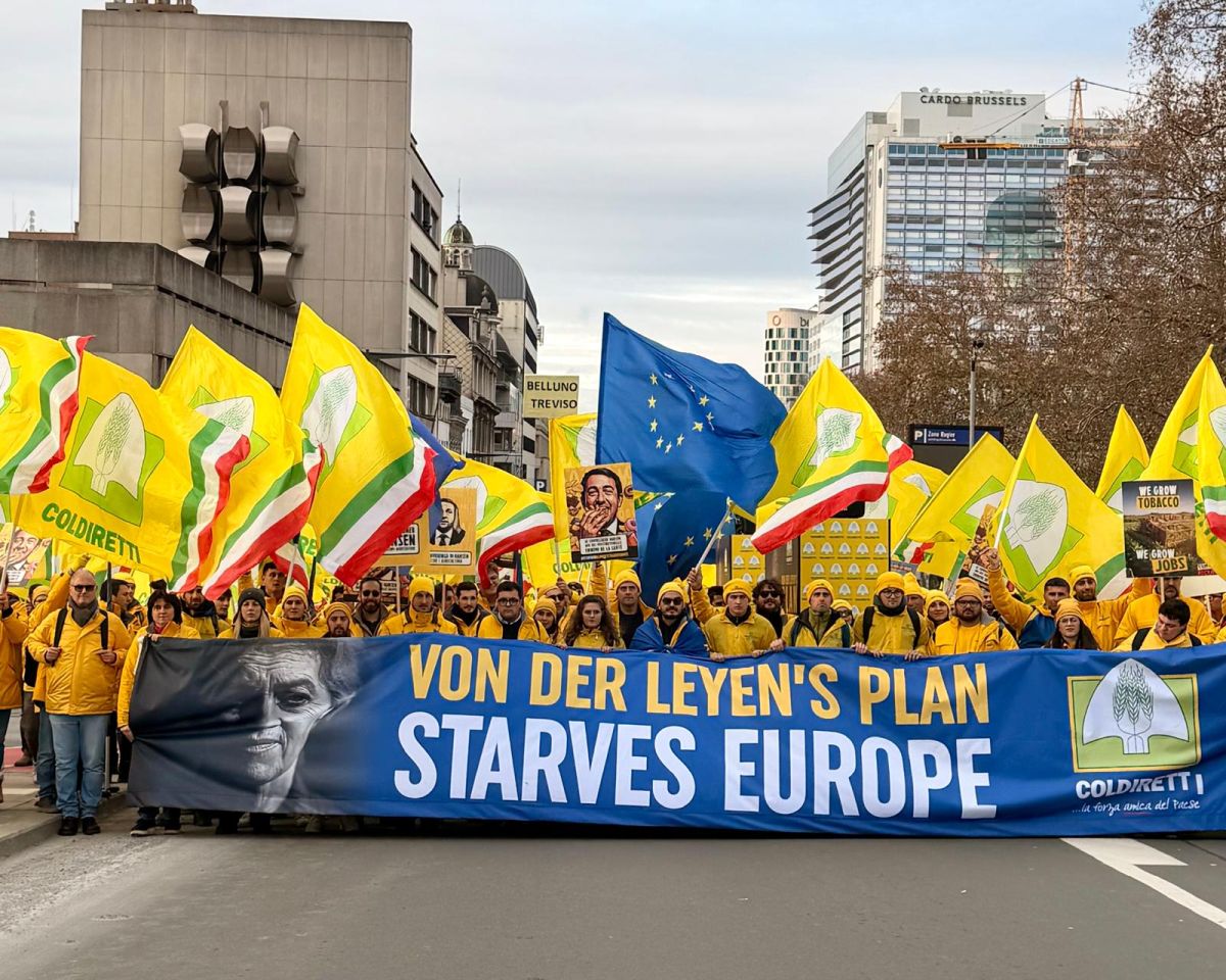 Ue, Masiello “Agricoltura e tabacchicoltura unite contro politiche squilibrate” - 