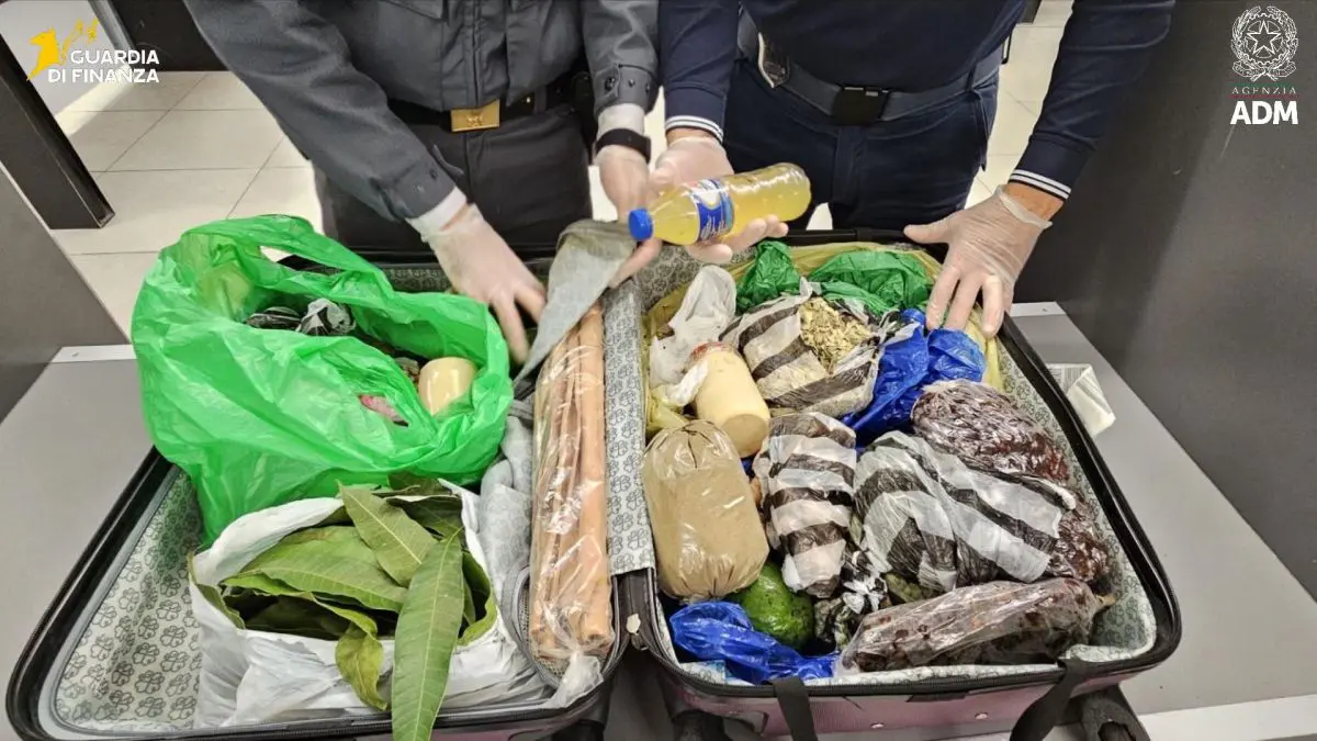Milano, a Linate sequestrate 6,5 tonnellate di alimenti non sicuri - 