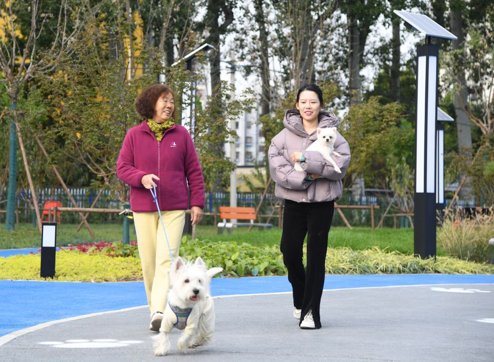 Cina, Shandong spinge sull’innovazione per far crescere l’economia pet - 