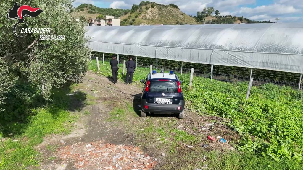 Scoperte nel reggino 35 mila metri quadrati di serre abusive in area protetta - 