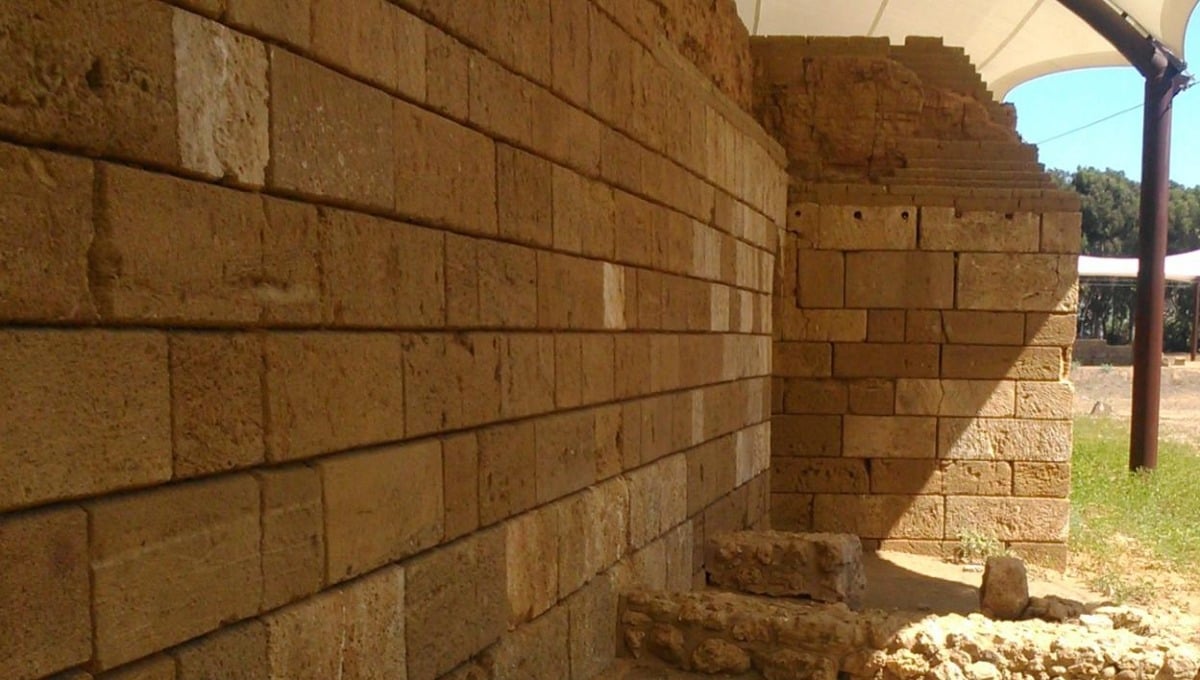 Patrimonio archeologico inaccessibile, Perna: "Parole servono a poco, città si spegne" - 