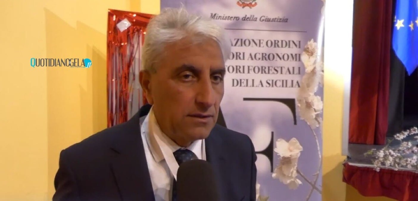 "Modello Gela non esiste, è un'invenzione di Di Paola", Lo Nigro: "Sulle dighe basta prese in giro" - Piero Lo Nigro