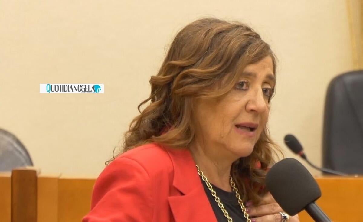 Faraci nuovo presidente dell'ordine dei commercialisti: costituito il consiglio  - La dottoressa Mariangela Faraci