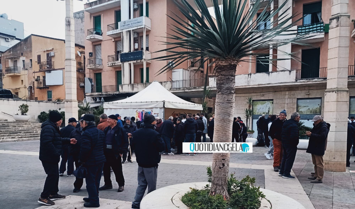 Elezioni comitati quartiere, Giudice: "Dati affluenza dicono che la città sta partecipando" - 