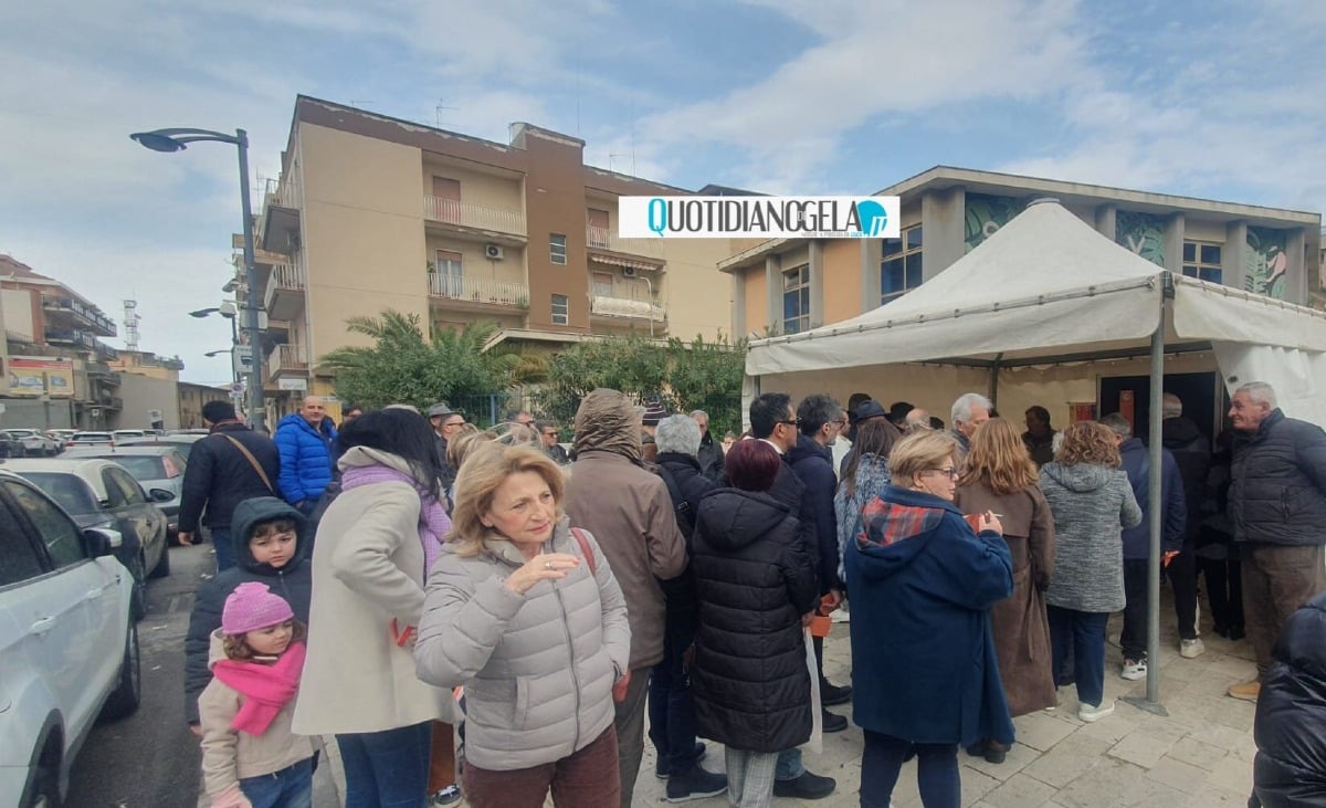 Comitati quartiere, chiuse urne: al voto in 6.889, boom Area 9 con il 36,54%  - 
