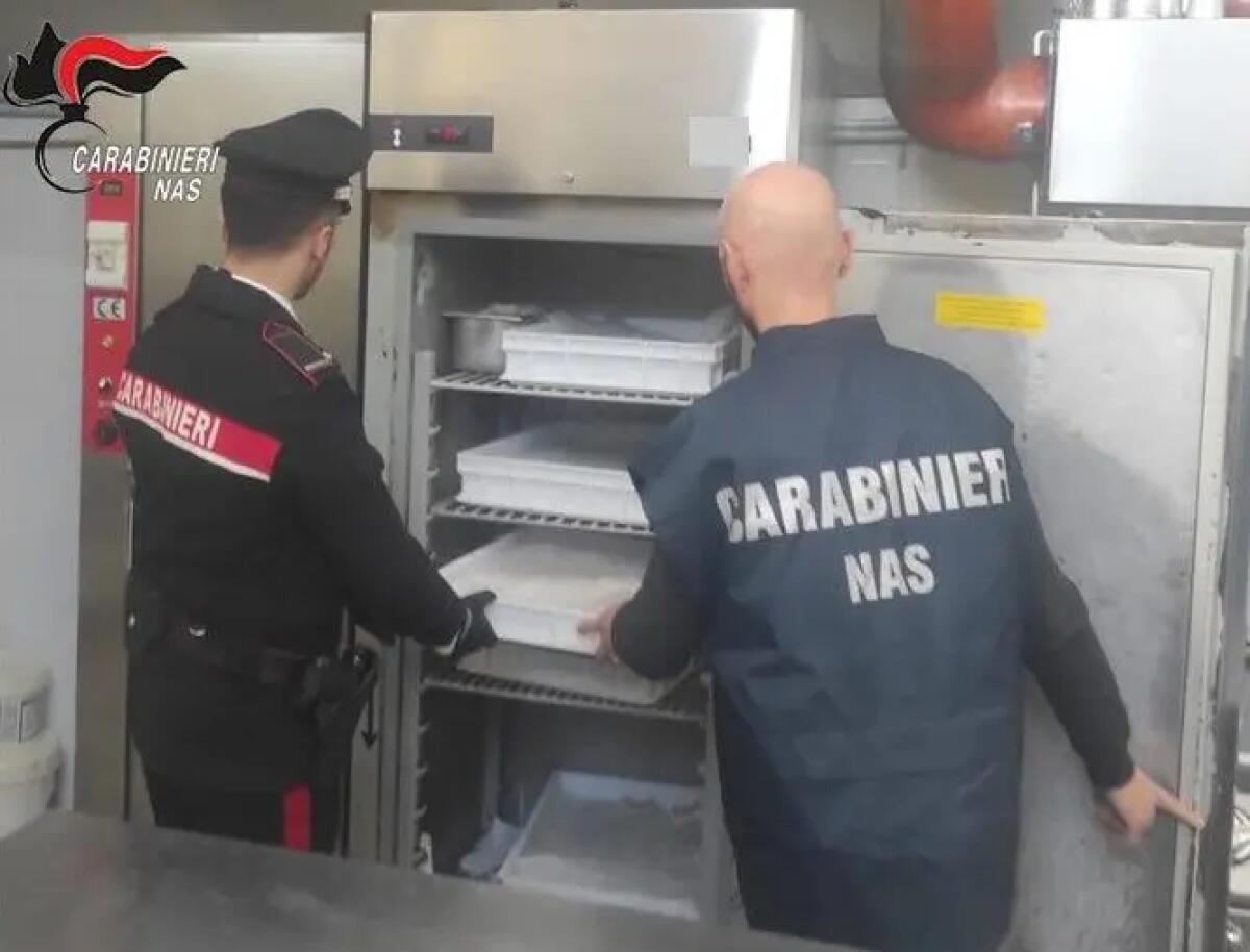 Panettoni con false diciture Dop e Igp, scatta la denuncia nel Catanese - 