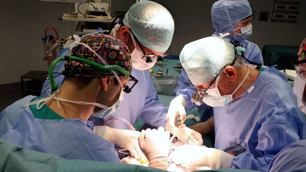 Chirurgia vascolare, il San Raffaele di Milano pioniere della mininvasività - 