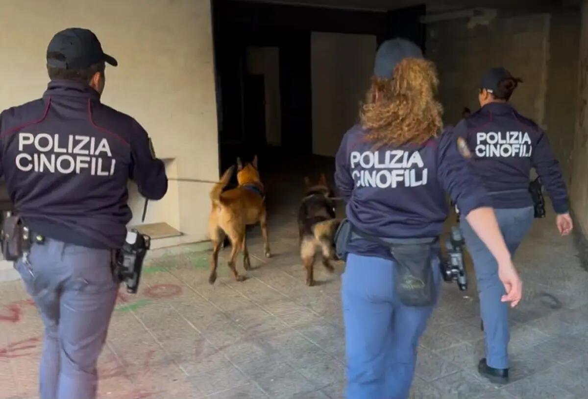Catania, cani antidroga scovano un kg e mezzo di marijuana nel quartiere San Cristofaro - 