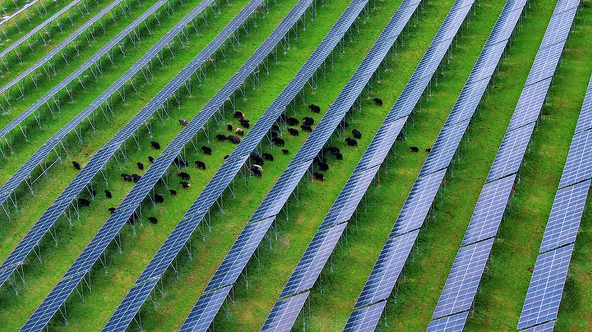 Cina, nel Sichuan attivato importante progetto fotovoltaico ad alta quota - 