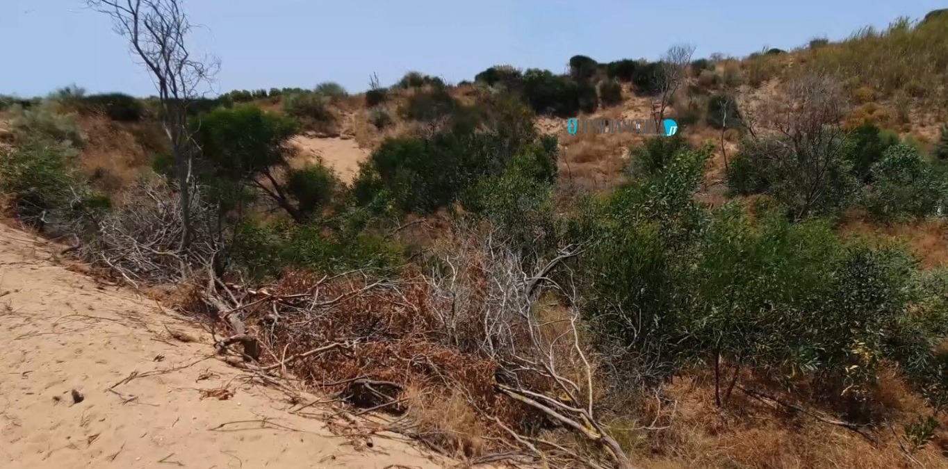 Pudm, completate integrazioni richieste: Tar su contesa per accesso al mare, "Comune fornisca il piano" - 