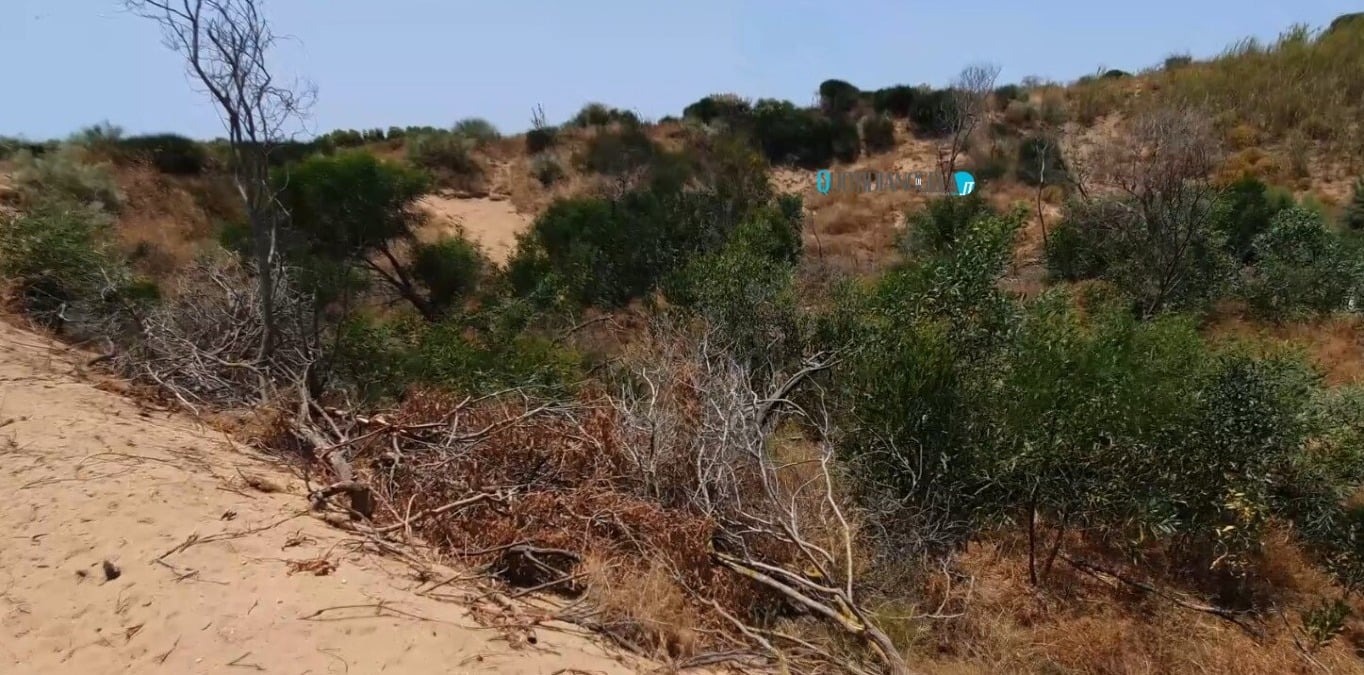 Pudm, "previsti lidi in aree dunali": Donegani attiva la Regione, "verifiche" - 